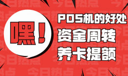 pos个人是什么意思(pos个人金额是什么意思)